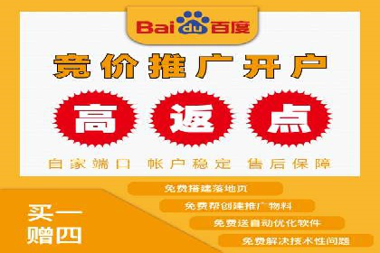 某知名品牌网络推广竞价全解析